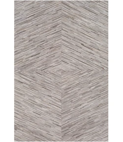 Surya Zander ZND1003 Cream Taupe Area Rug 2 ft. X 3 ft. Rectangle