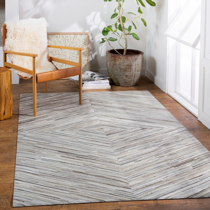 Surya Zander ZND-1003-2x3 rug