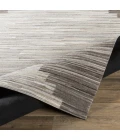 Surya Zander ZND-1007 2  x 3  Rug