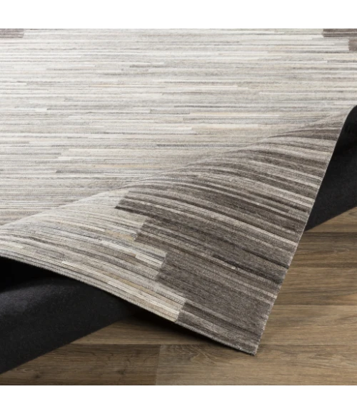 Surya Zander ZND-1007 2  x 3  Rug