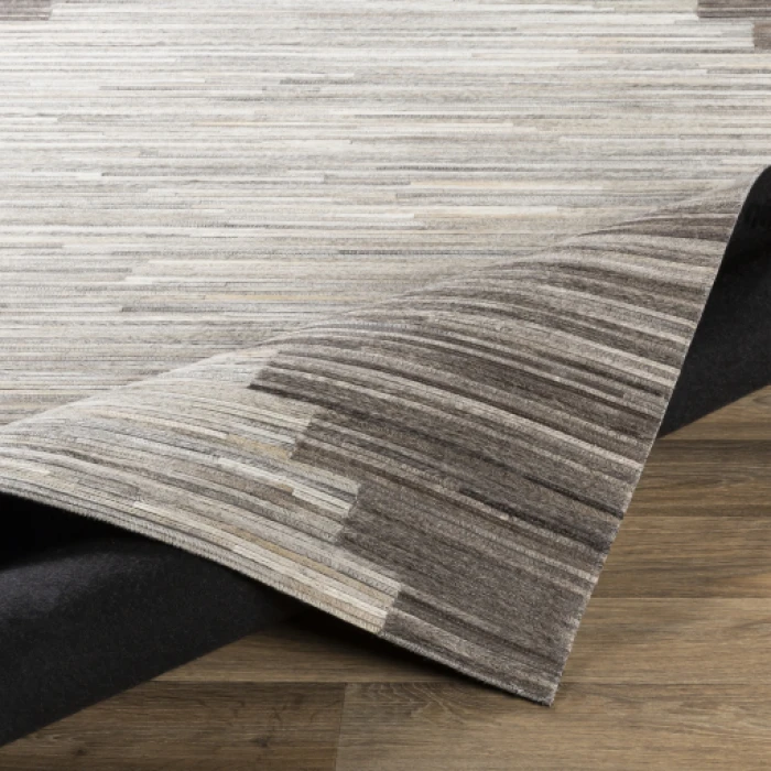 Surya Zander ZND-1007 2  x 3  Rug