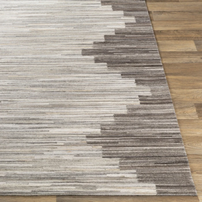 Surya Zander ZND-1007 2  x 3  Rug