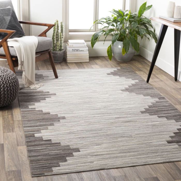 Surya Zander ZND-1007 2  x 3  Rug