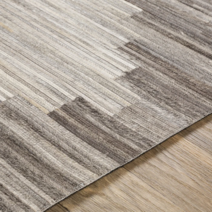 Surya Zander ZND-1007 2  x 3  Rug