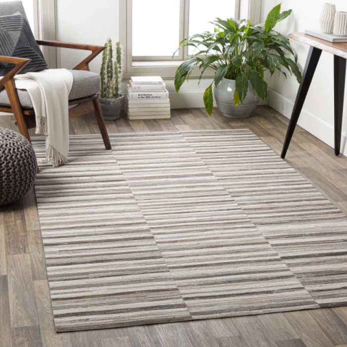 Surya Zander ZND-1008 5  x 8  Rug