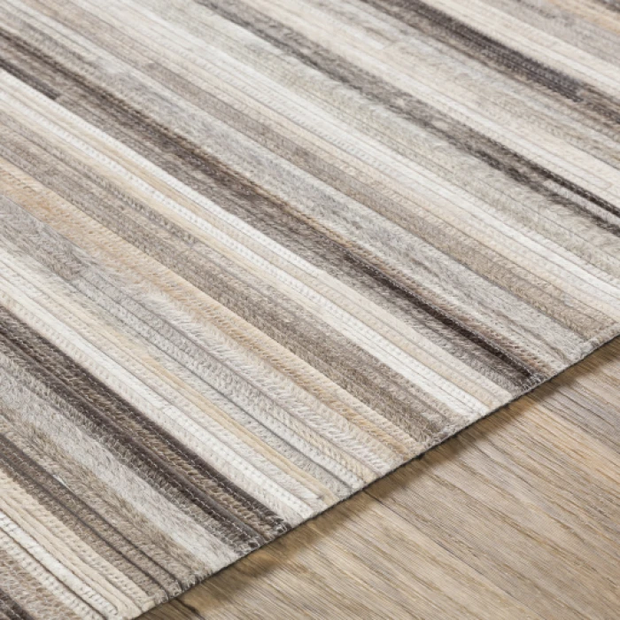 Surya Zander ZND-1008 5  x 8  Rug