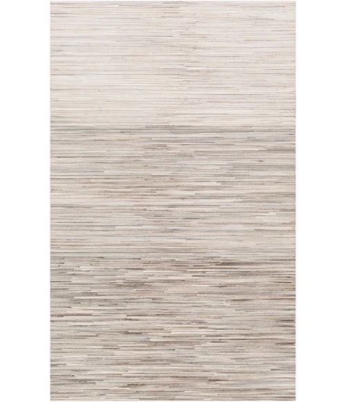 Surya Zander ZND-1009 2  x 3  Rug