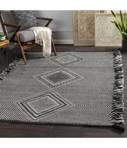 Surya Zanafi ZNF2302 Black White Area Rug 8 ft. 10 in. X 12 ft. Rectangle
