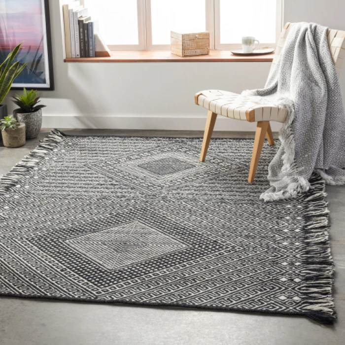 Surya Zanafi ZNF-2303 2  x 3  Rug