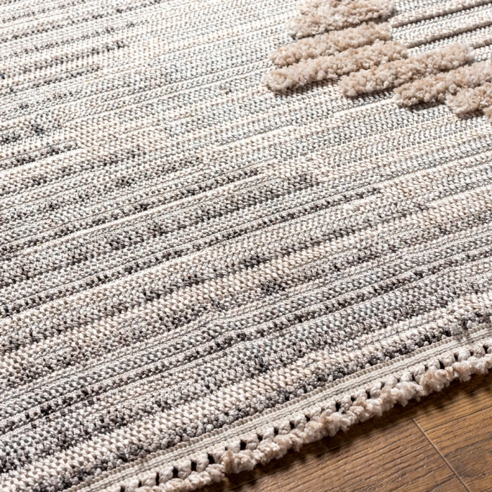 Livabliss Zaragoza Rug ZRZ2300