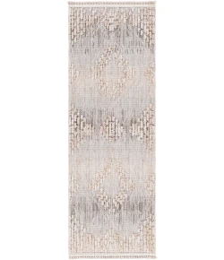 Livabliss Zaragoza ZRZ2303 Medium Gray Light Gray Area Rug 2 ft. 7 in. X 7 ft. 3 in. Runner