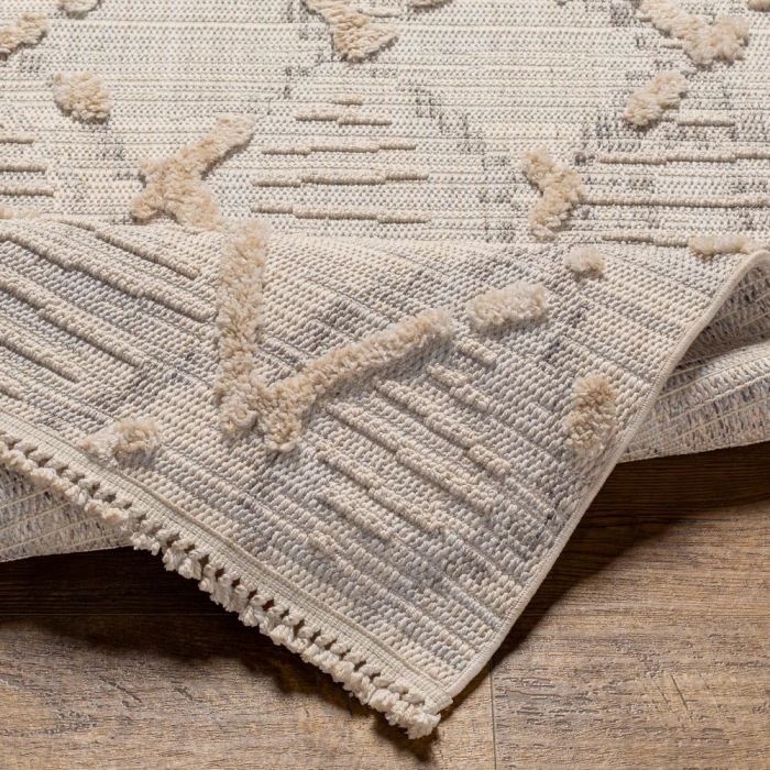 Livabliss Zaragoza Rug ZRZ2311