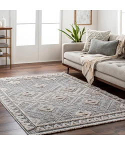 Livabliss Zaragoza ZRZ2318 Light Beige Charcoal Area Rug 9 ft. 2 in. X 12 ft. Rectangle