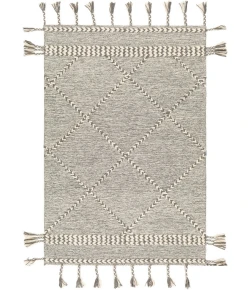 Surya Zanafi Tassels ZTS2306 Medium Gray Cream Area Rug 2 ft. X 3 ft. Rectangle
