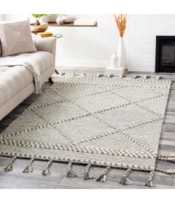 Surya Zanafi Tassels ZTS2306 Medium Gray Cream Area Rug 2 ft. X 3 ft. Rectangle