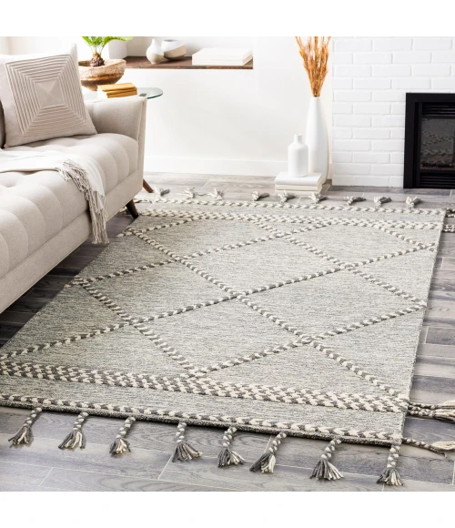 Surya Zanafi Tassels ZTS-2306 Area Rug