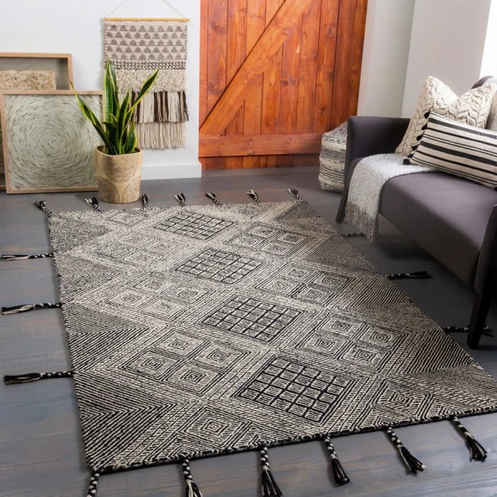 Surya Zanafi Tassels ZTS-2309 8 10 x 12  Rug