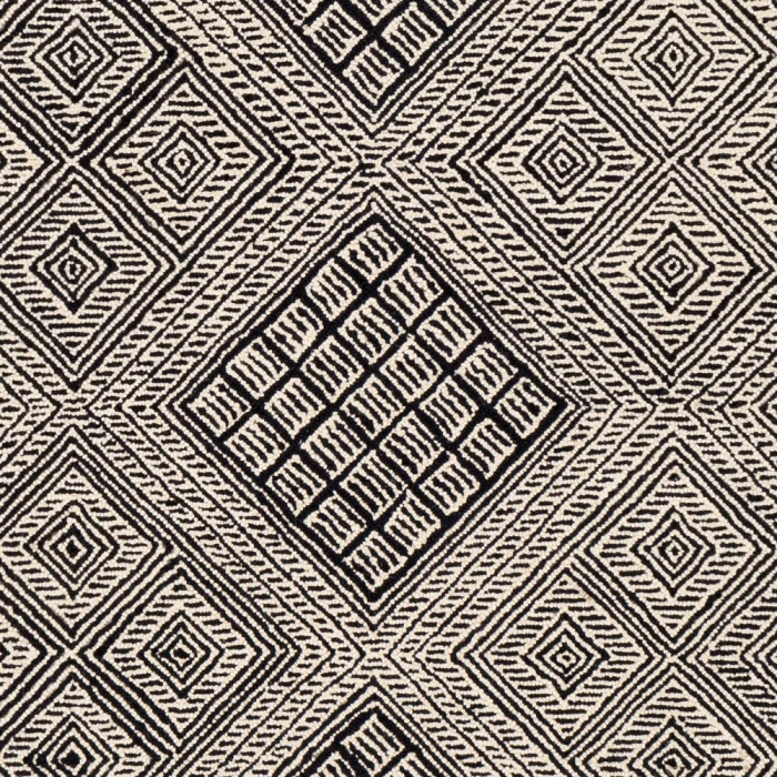 Surya Zanafi Tassels ZTS-2309 8 10 x 12  Rug