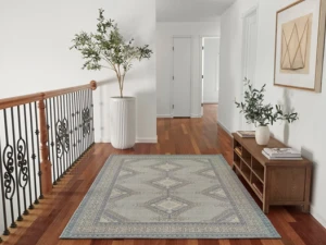 How Momeni Rugs Bring Global Inspiration to Your Home