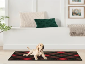 Why Nourison Rugs Are Perfect for Pet Owners