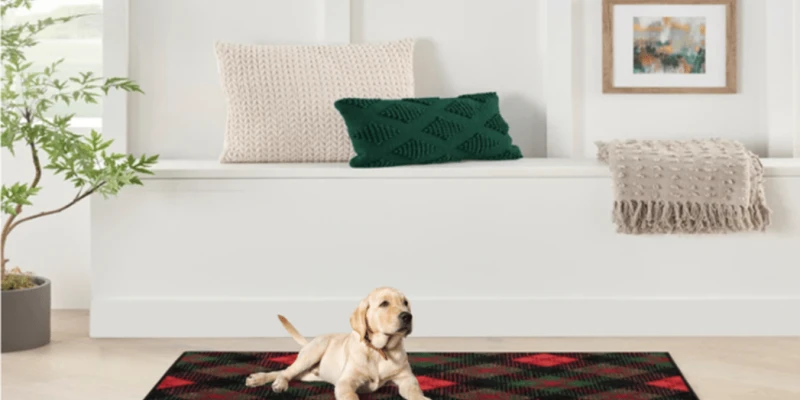 Why Nourison Rugs Are Perfect for Pet Owners