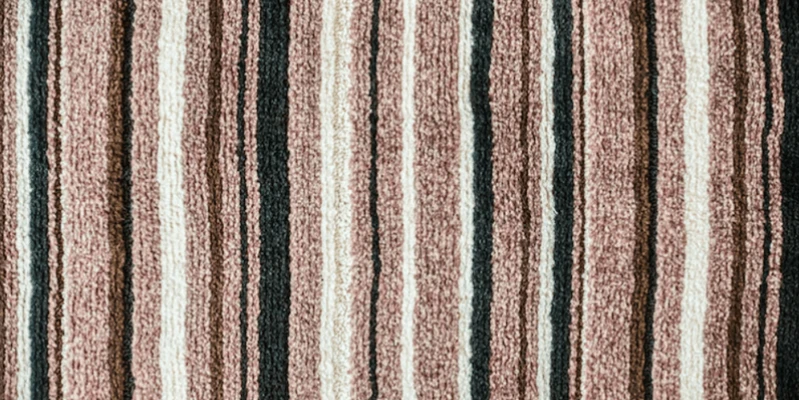 Best Dalyn Rugs Styles Predicted for 2028 Home Décor Trends