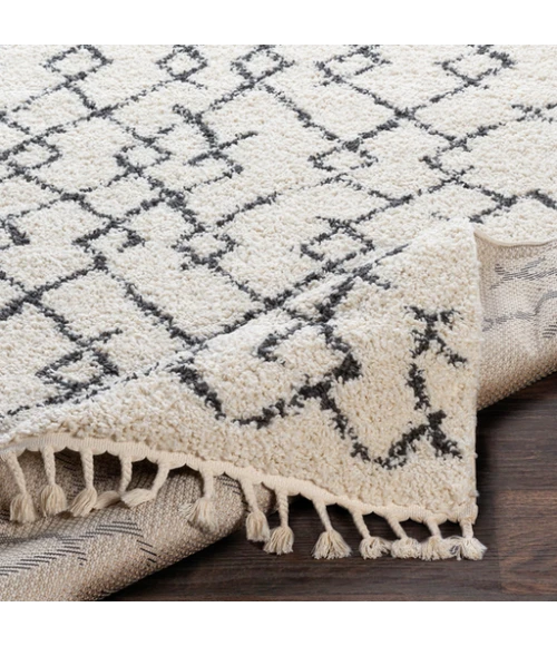 Livabliss Berber Shag BBE-2301-679