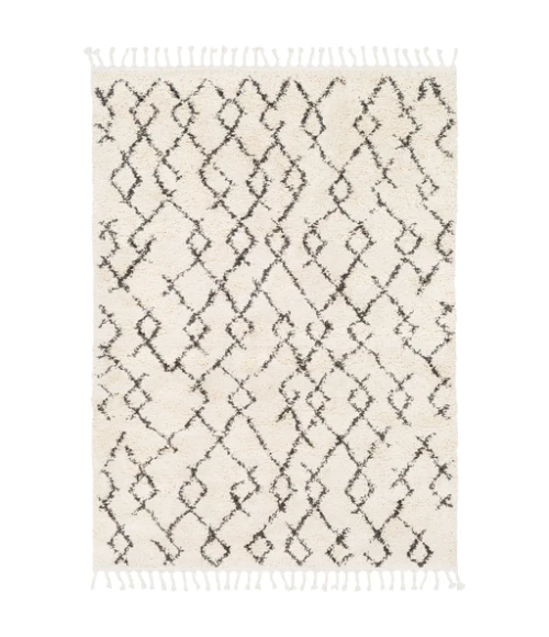 Livabliss Berber Shag BBE-2301-679