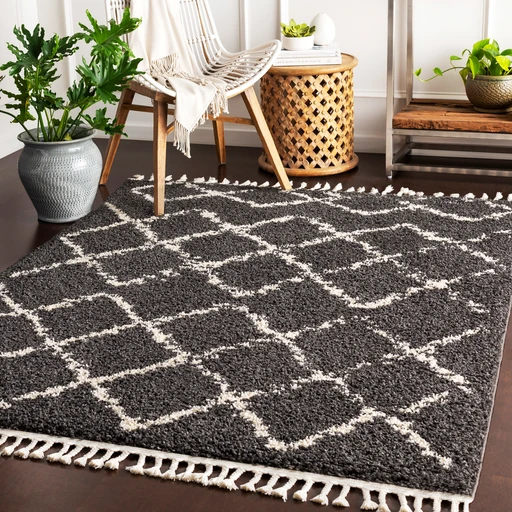 Surya Berber Shag BBE-2307-2773