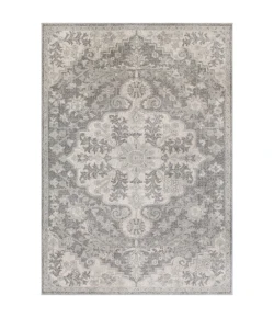 Livabliss Harput HAP1070 Light Gray Charcoal Area Rug 2 ft. X 3 ft. Rectangle