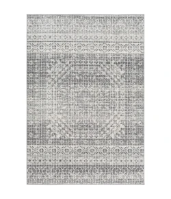 Livabliss Harput HAP1080 Light Gray Charcoal Area Rug 6 ft. 7 in. X 9 ft. Rectangle