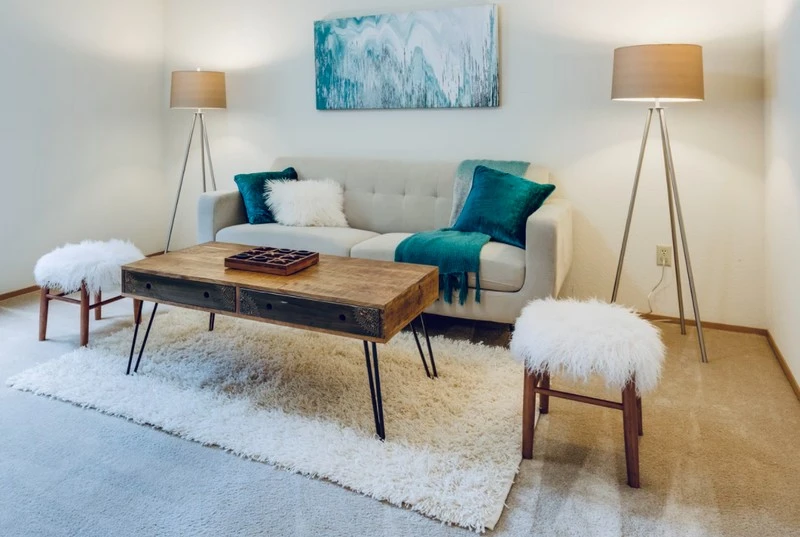 Rugs for Home