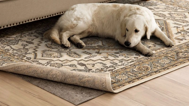 Rug Pads for Pets