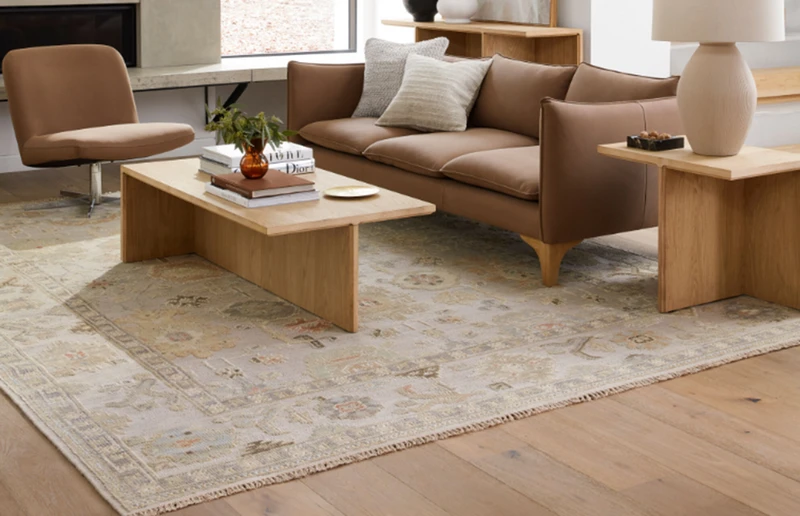 Affordable Rugs for living Room 