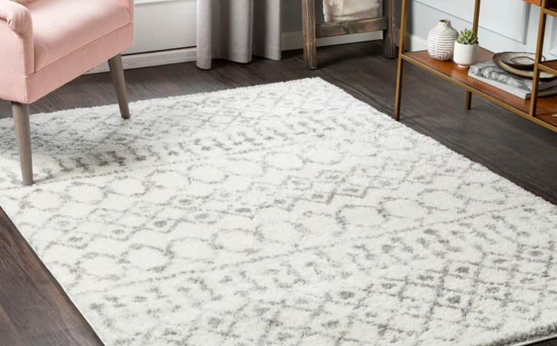 Feizy Rugs for Home