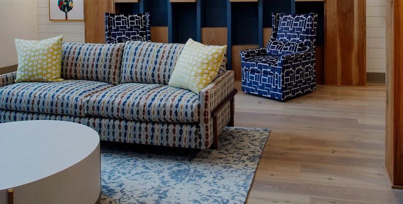 Perfect Rug for Living Area 