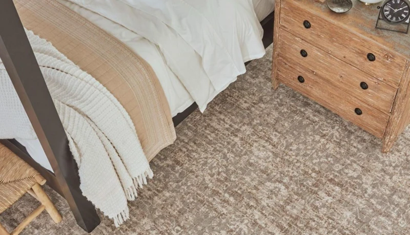 Stylish Eco-Friendly Dalyn Rugs