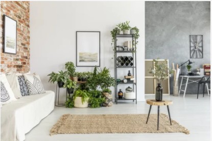 Jute Rugs